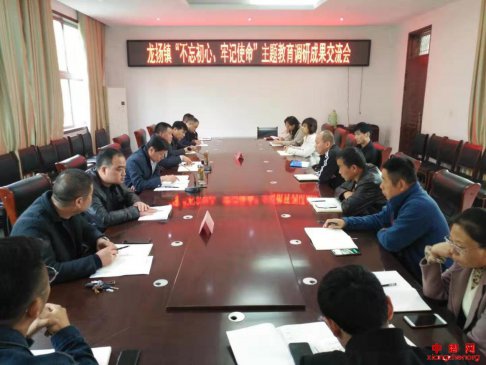 安徽龙扬：召开“不忘初心、牢记使命”主题教育调研成果交流会