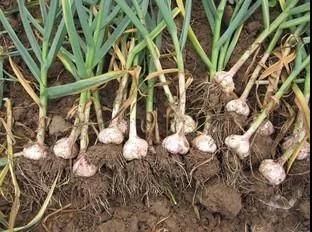 微信图片_20191106110819