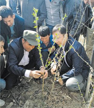 沙海培育新苗 援疆添彩绿洲