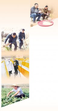 帮老乡卖货 他们办法多