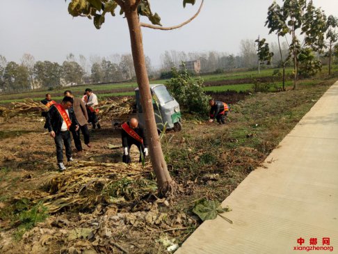 安徽：华佗镇程屯村开展党员志愿服务活动，推动主题教育落地见效