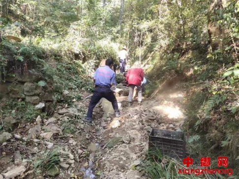 安徽棠溪镇双合村：积极应对旱情 确保村民饮水安全