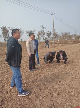 <b>安徽：定远县桑涧镇秋种工作稳步推进</b>