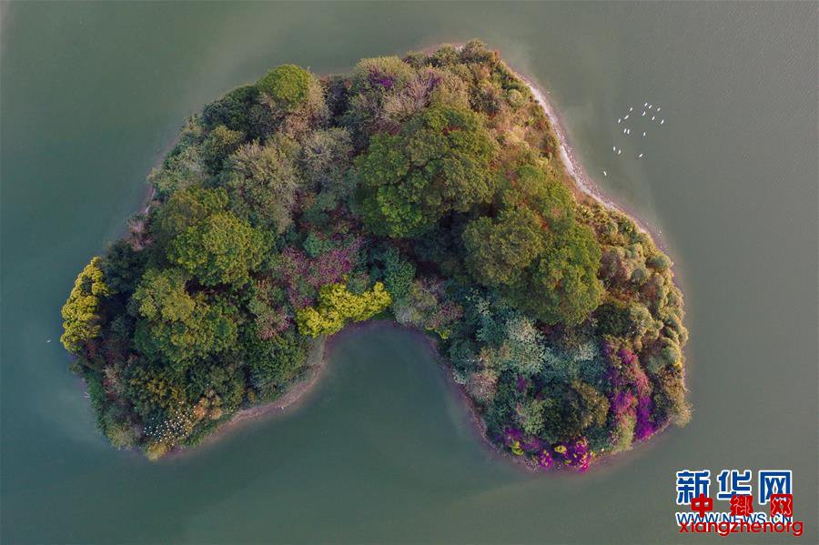 （环境）（2）福建漳州：生态碧湖鸟翩飞