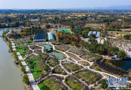 美丽乡村缤纷花展引客来