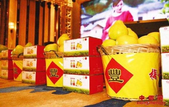 颜值经济新时代 看梅州柚如何找到品牌营销新方向