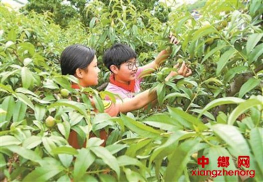 劳动教育是“浪费”时间吗？对劳动的理解应与时俱进