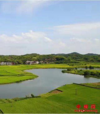 <b>湖南省衡南县泉湖镇着力做到“九好”打造“河畅水清岸绿景美”生态环境</b>