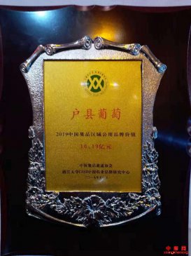 陕西鄠邑区：户县葡萄品牌估值突破10亿元