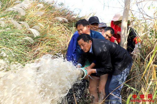 安徽和县乌江镇：以服务群众实际成效检验主题教育效果