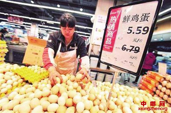 鸡蛋价格正回归理性春节前鸡蛋供应充足