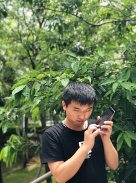 <b>从“可选”到“必选” 信息无障碍之路还有多远</b>