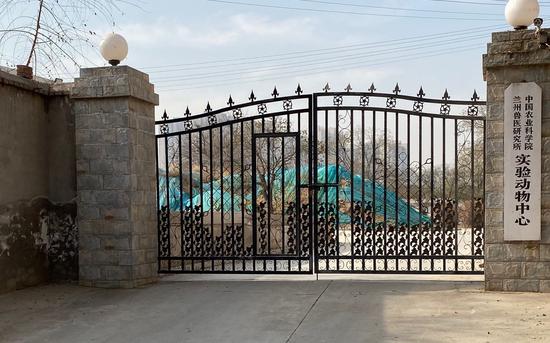12月7日，兽研所实验动物中心。新京报记者 庞礴 摄