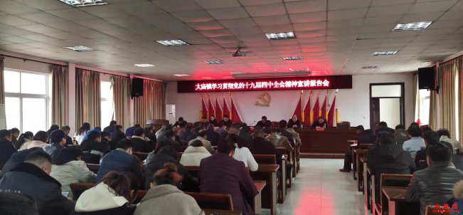 安徽省凤阳县大庙镇召开学习贯彻党的十九届四中全会精神宣讲报告会