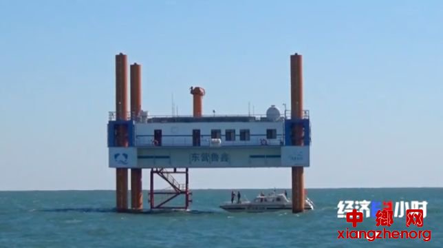 △张某伟建设的海上平台