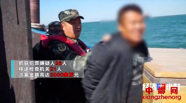 △抓捕主犯张某伟画面