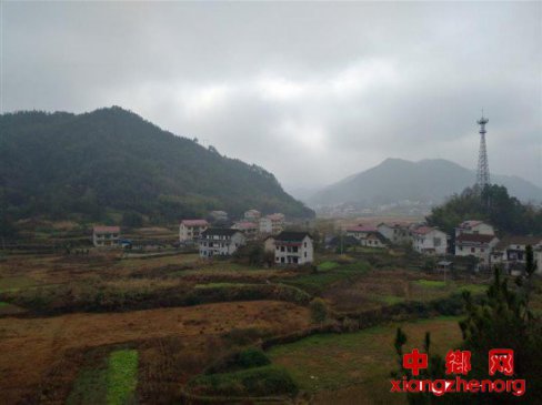 “茶要稳、旅要进” 看黑茶之乡高质量发展新举措