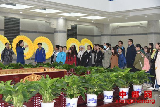 让生命教育的种子在青少年心中萌芽