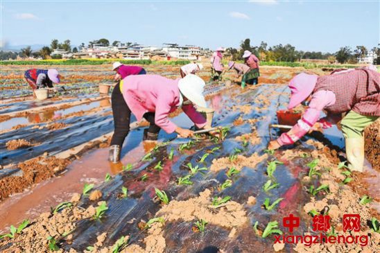 <b>云南省各地抓紧节令春耕备耕</b>