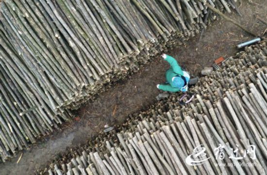 春耕备播促发展（全媒体）(601698)-20200213090248