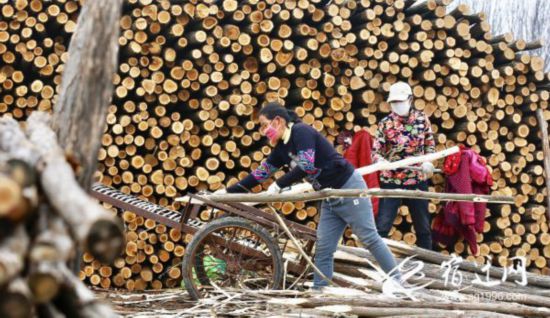 春耕备播促发展（全媒体）(601697)-20200213090243