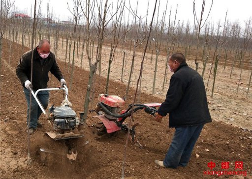 山东郯城：抗疫春耕加油干 关键时节不能失