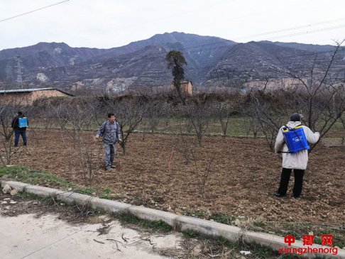 陕西：杏林镇给2000亩花椒树免费喷洒农药