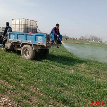 <b>安徽省枣庄镇夯实农业基础指导农民春耕备耕</b>