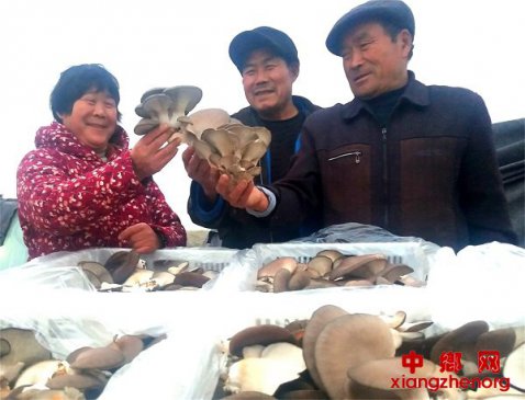 <b>山东郯城：战疫种菌让妇女喜迎“节日的春天”</b>