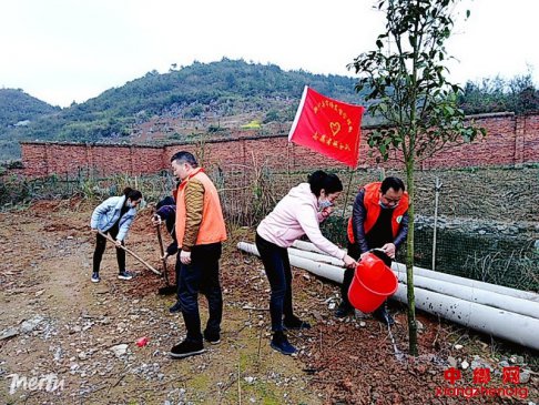<b>湖南新宁县市场监督管理局开展义务植树活动 为美化家园再添新绿</b>