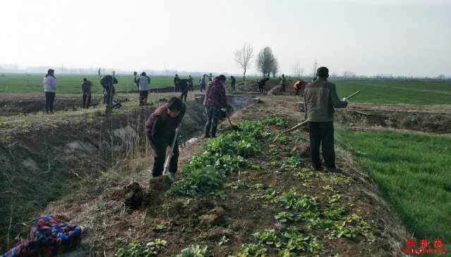 <b>安徽省蚌埠市：避免均等化脱贫，弘扬劳动致富主旋律</b>