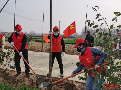 <b>安徽省谯城区魏岗镇：“绿化环境，美化乡村”主题植树节活动</b>