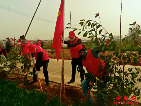 春暖花开季 正值植树时