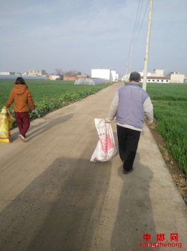 安徽西二铺乡：战“疫”情“稳”脱贫