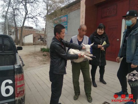 <b>陕西华州区杏林镇：排忧解难暖人心  精准帮扶显情怀</b>