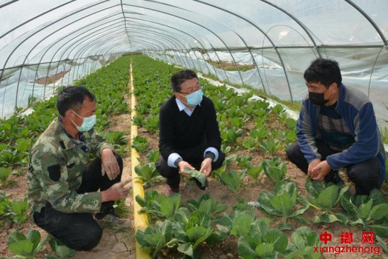 技术培训在田间