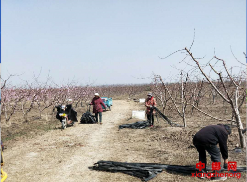 春耕复垦忙产业不停歇
