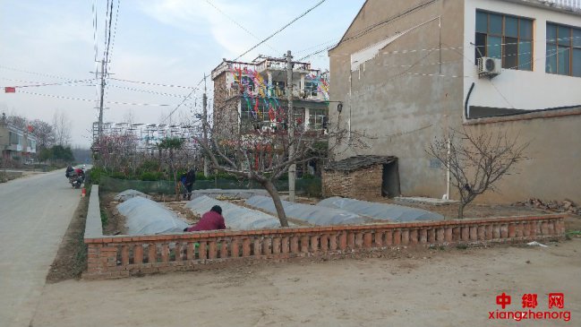 安徽省谯城区大杨镇：以“改厕”为重点，推进农村人居环境治理