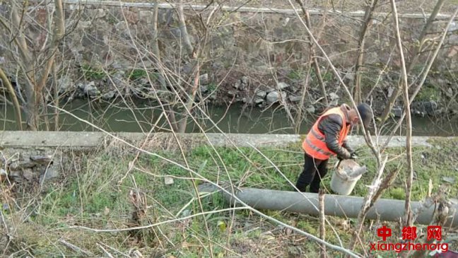 安徽庐江郭河：开展集镇街道环境卫生整治专项行动