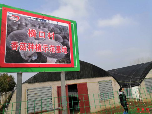 <b>安徽省符离镇横口村开展“以购代帮，以购抗疫”扶贫活动</b>