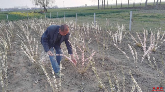 安徽省南庙村贫困户蒋元明的奋斗之路