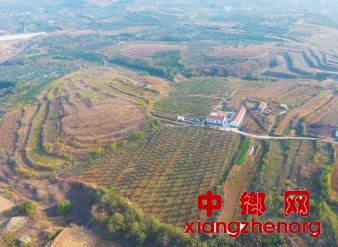 既要药量小　又要害虫少
