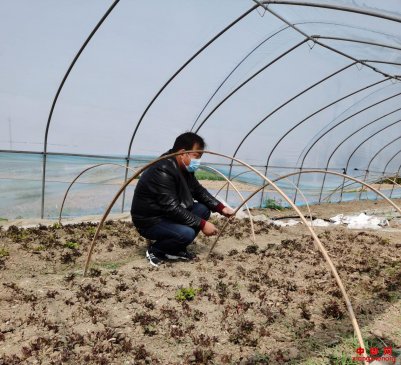 <b>安徽省固镇县刘集镇：粉丝产业托起致富梦</b>