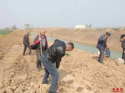 <b>安徽省五河县东刘集镇组织贫困户公益岗位进行植树造林</b>