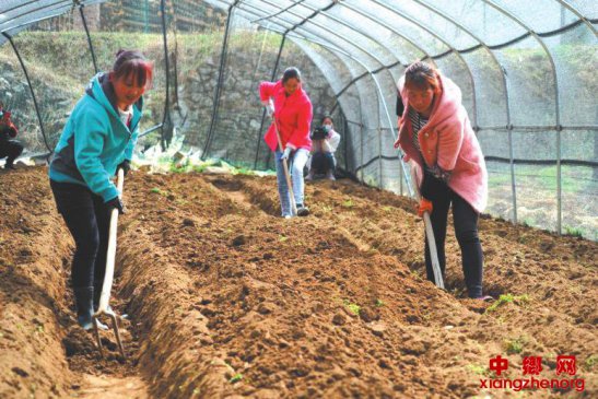 “兴”特色产业 “鼓”群众腰包