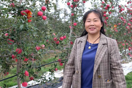 春华“秋”实 熠熠“芳”华