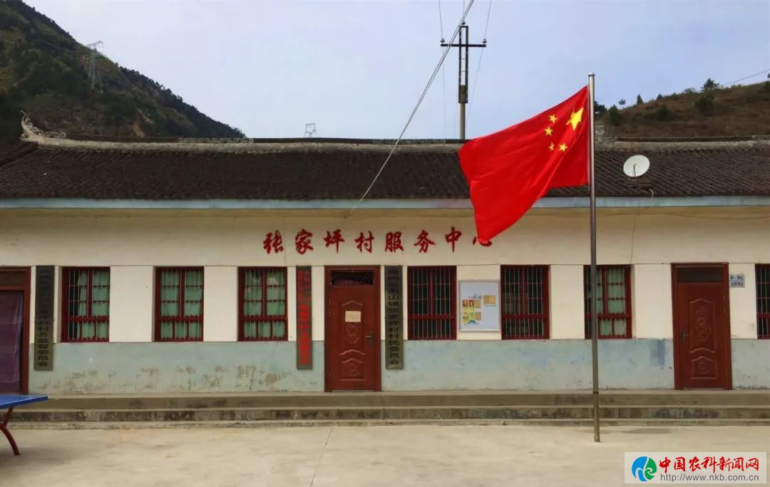 QQ图片20200408014913
