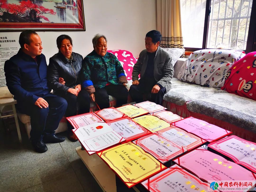QQ图片20200408014928