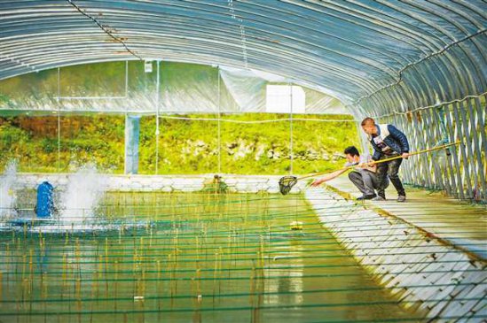 <b>特色产业促进增收</b>