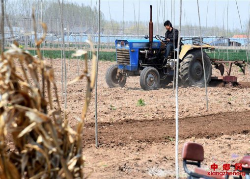 山东临沂：春耕正当时